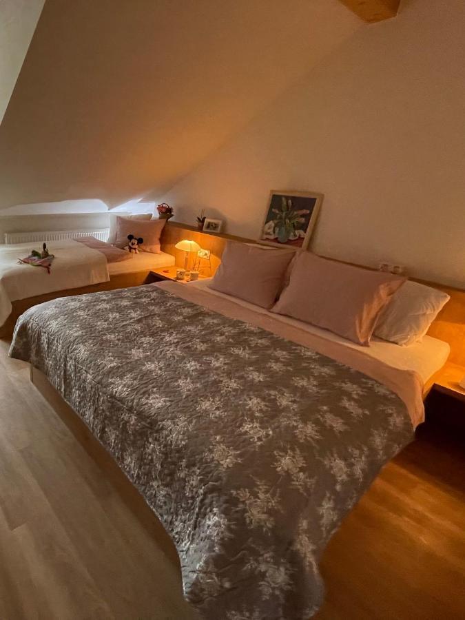 Basta & Wellness Apartment Susice (Plzen)