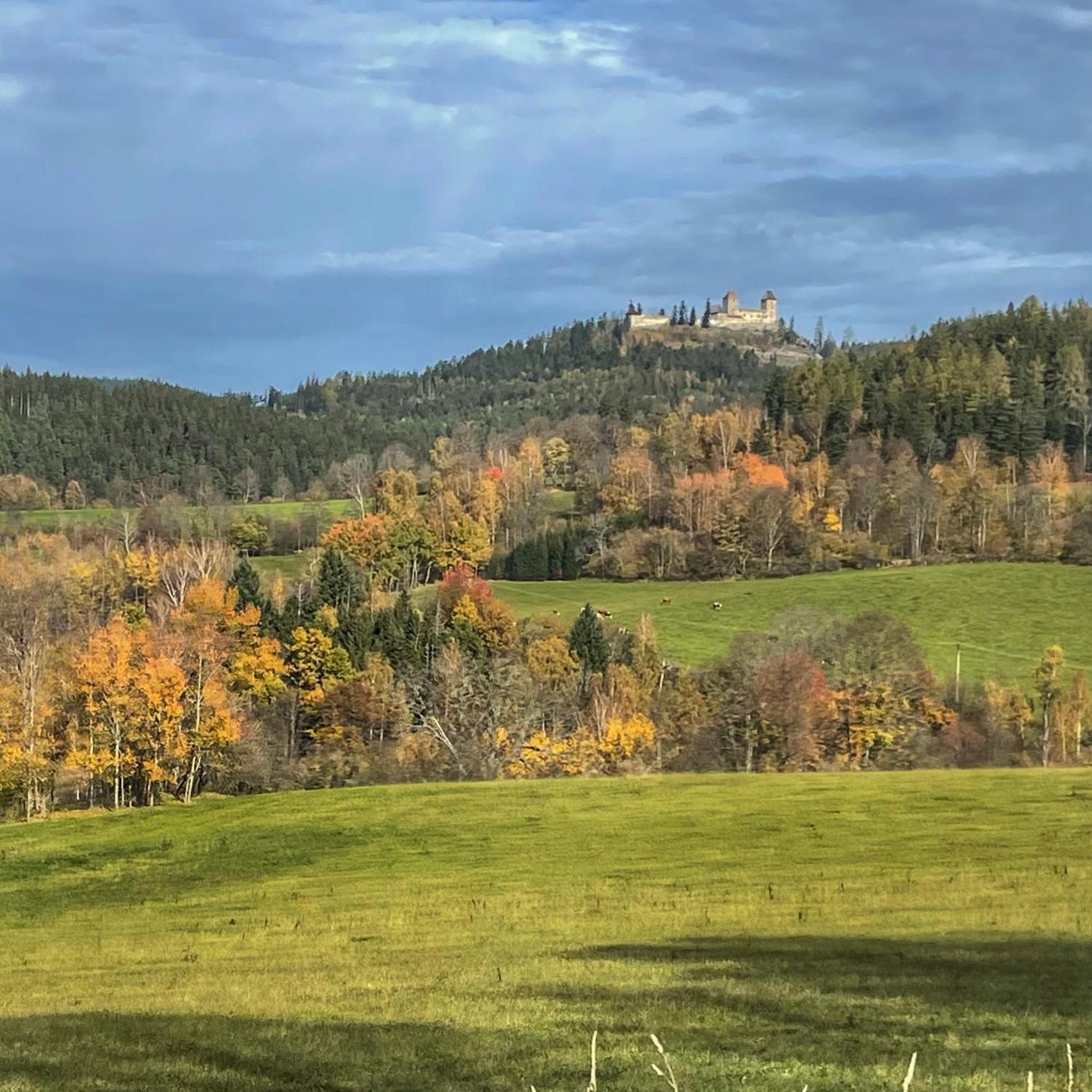 Apartmán Basta & Wellness Sušice