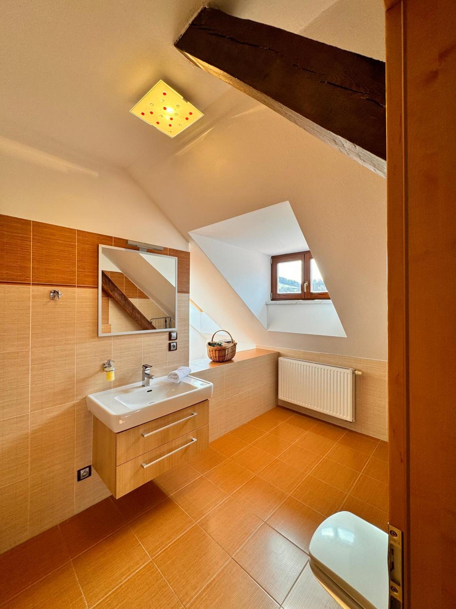 Basta & Wellness Apartment Susice (Plzen)