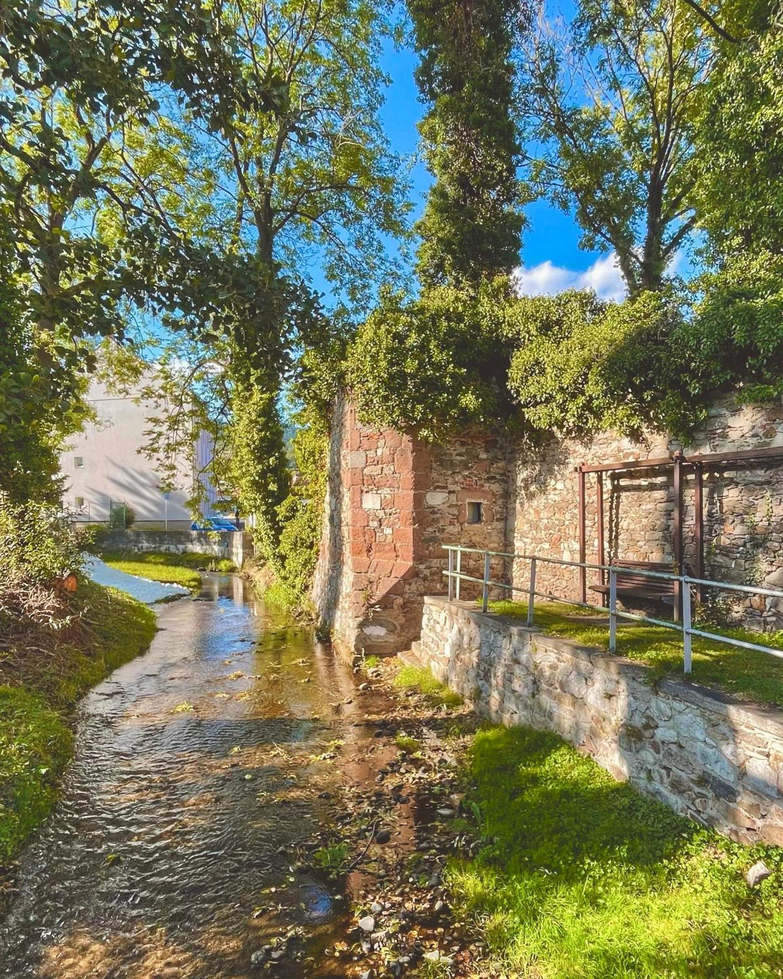 Apartmán Basta & Wellness Sušice