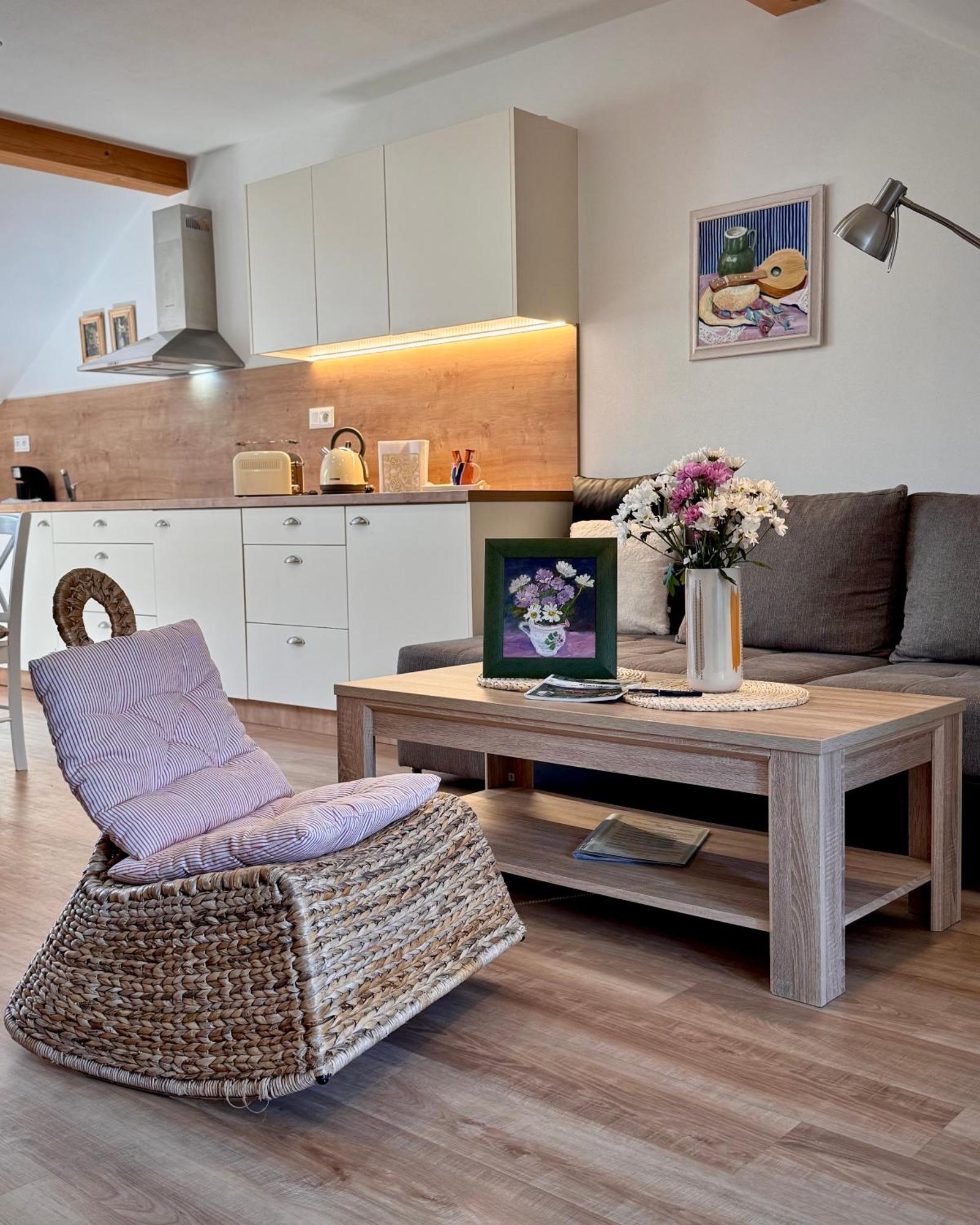 Basta & Wellness Apartmán Sušice
